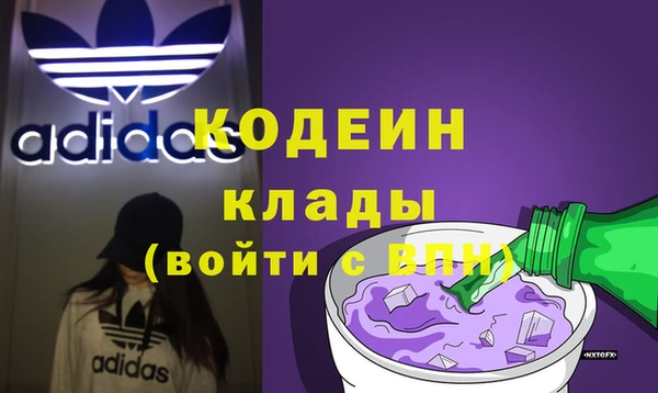 прущие грибы Гусев