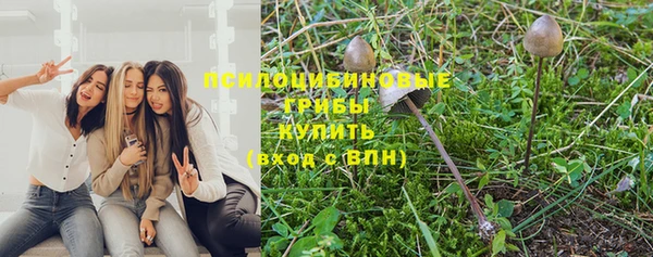 дурь Горняк