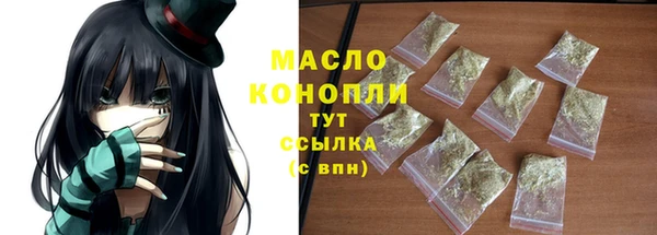 хмурый Гусь-Хрустальный