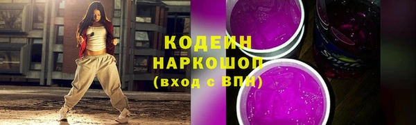 прущие грибы Гусев