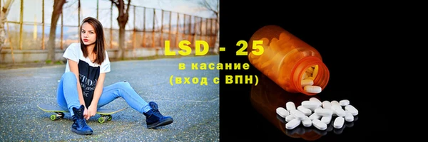 хмурый Гусь-Хрустальный