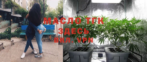 хмурый Гусь-Хрустальный