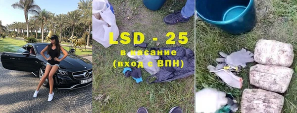 прущие грибы Гусев