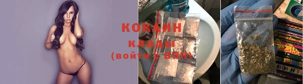 дурь Горняк