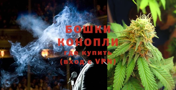 хмурый Гусь-Хрустальный