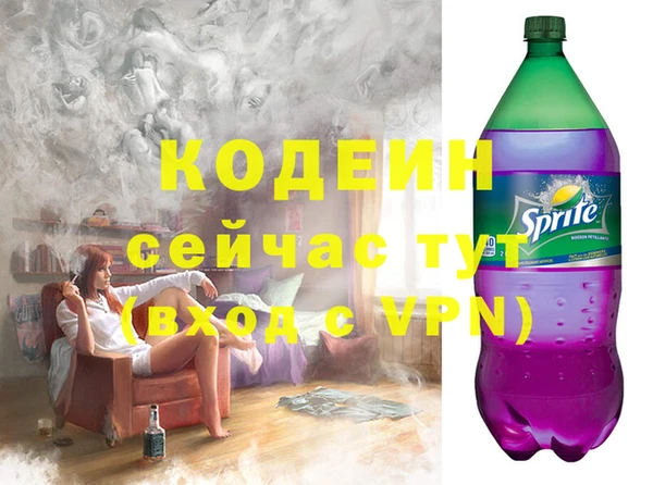 прущие грибы Гусев
