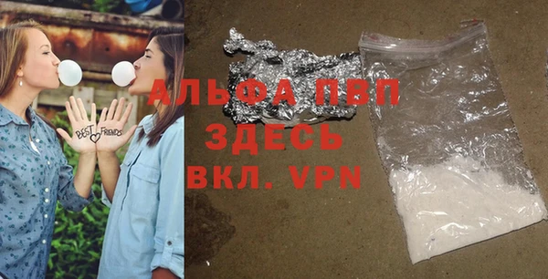 прущие грибы Гусев