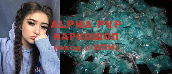 хмурый Гусь-Хрустальный