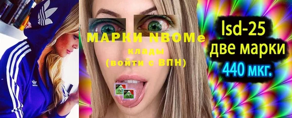 прущие грибы Гусев