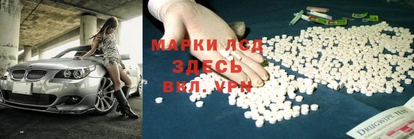 хмурый Гусь-Хрустальный
