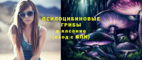 дурь Горняк