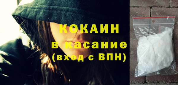 прущие грибы Гусев